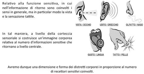 Attività sullo schema corporeo scuola infanzia