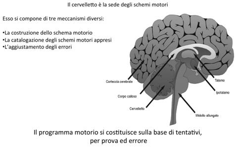 Schema corporeo e