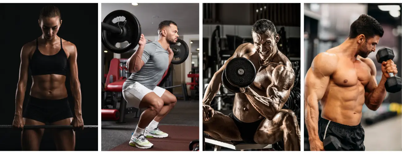 I corsi nell'Area Body Building