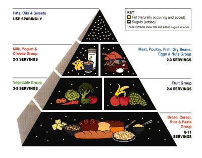 piramide alimentare 1992