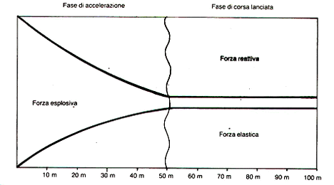Grafico delle qualità di forze adoperate in una gara di 100m