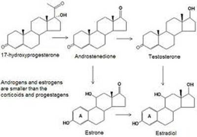 Ora puoi avere la Drostanolone Enanthate 200 mg SP Laboratories dei tuoi sogni: più economico/più veloce di quanto tu abbia mai immaginato