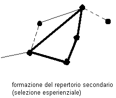 Intervento adattativo - Prof. Vincenzo Biancalana: figura 2